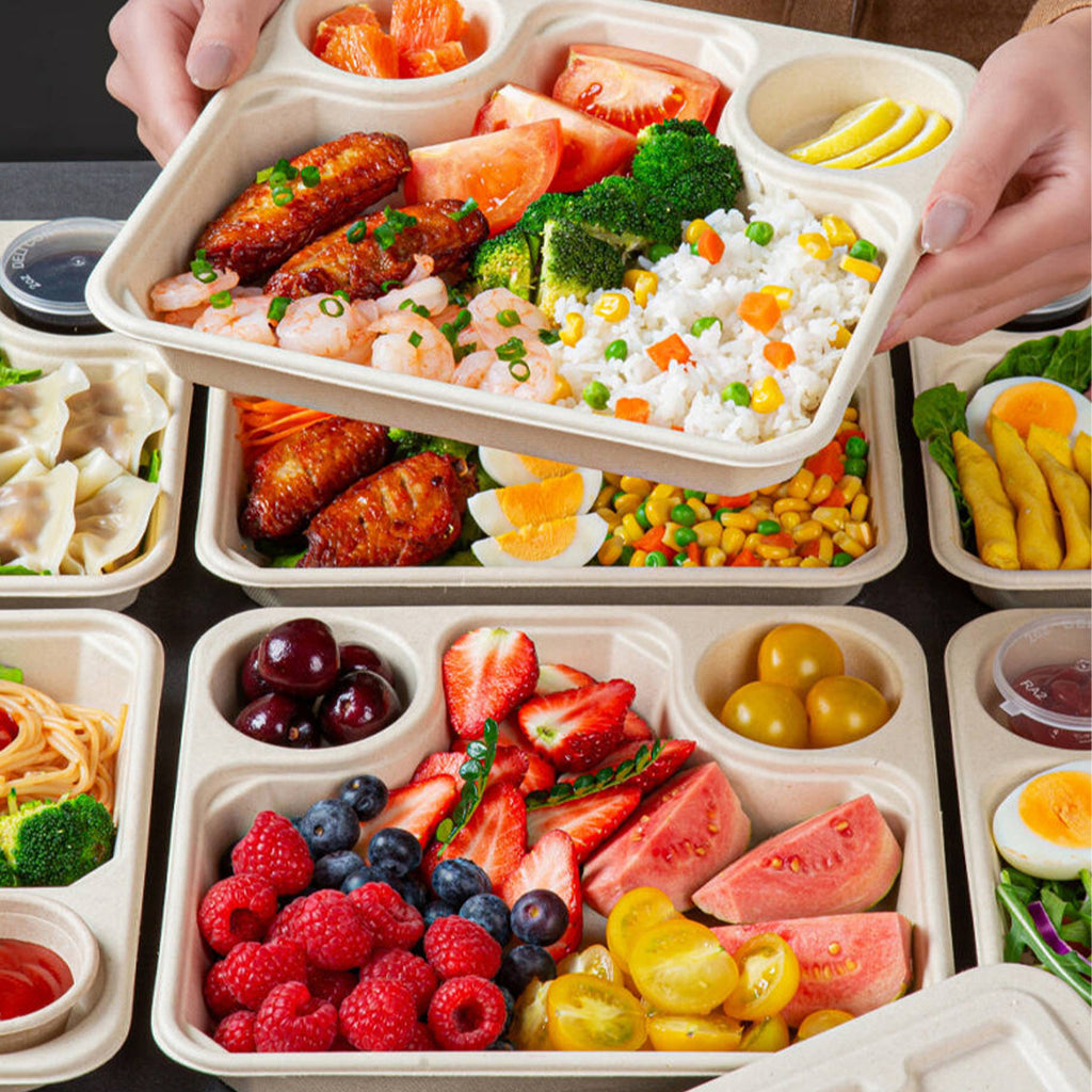 Disposable Salad Boxes with Sauce Cups - Biodegradable Paper Pulp Takeout Containers  500 pcs