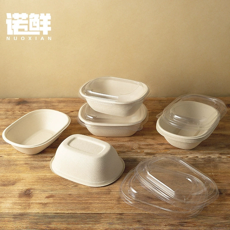 Eco-Friendly Disposable Food Containers - Biodegradable Pulp Bowls with Secure Lids