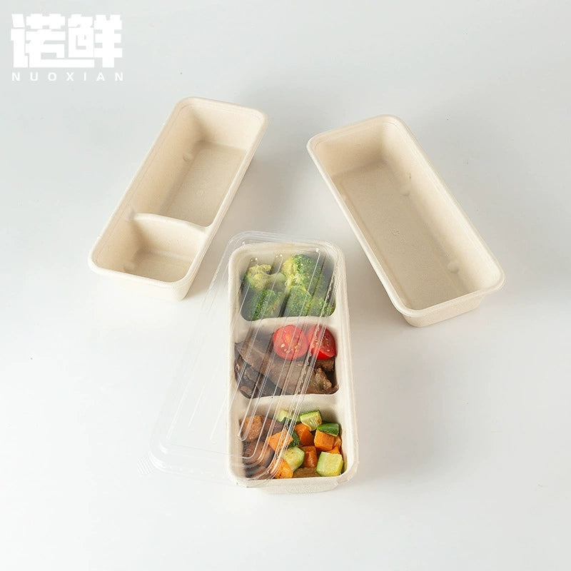 Biodegradable Compartment Food Containers - Eco-Friendly Disposable Lunch Boxes