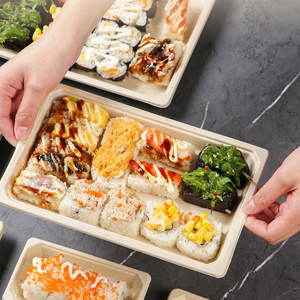 Biodegradable Disposable Sushi Takeout Boxes