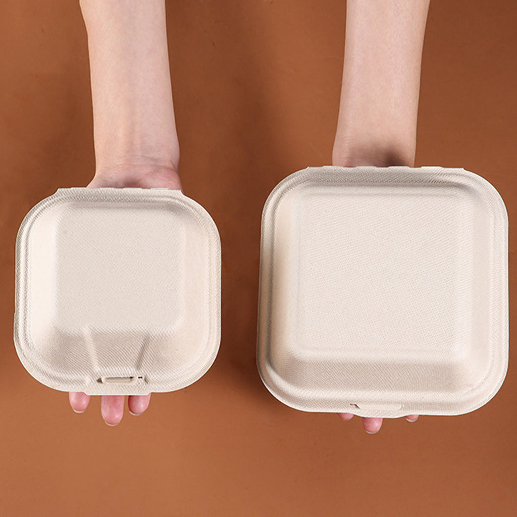 Disposable Paper Pulp Burger & Cake Boxes - 4 & 6 Inch Biodegradable Takeout Containers 丨 900 pcs