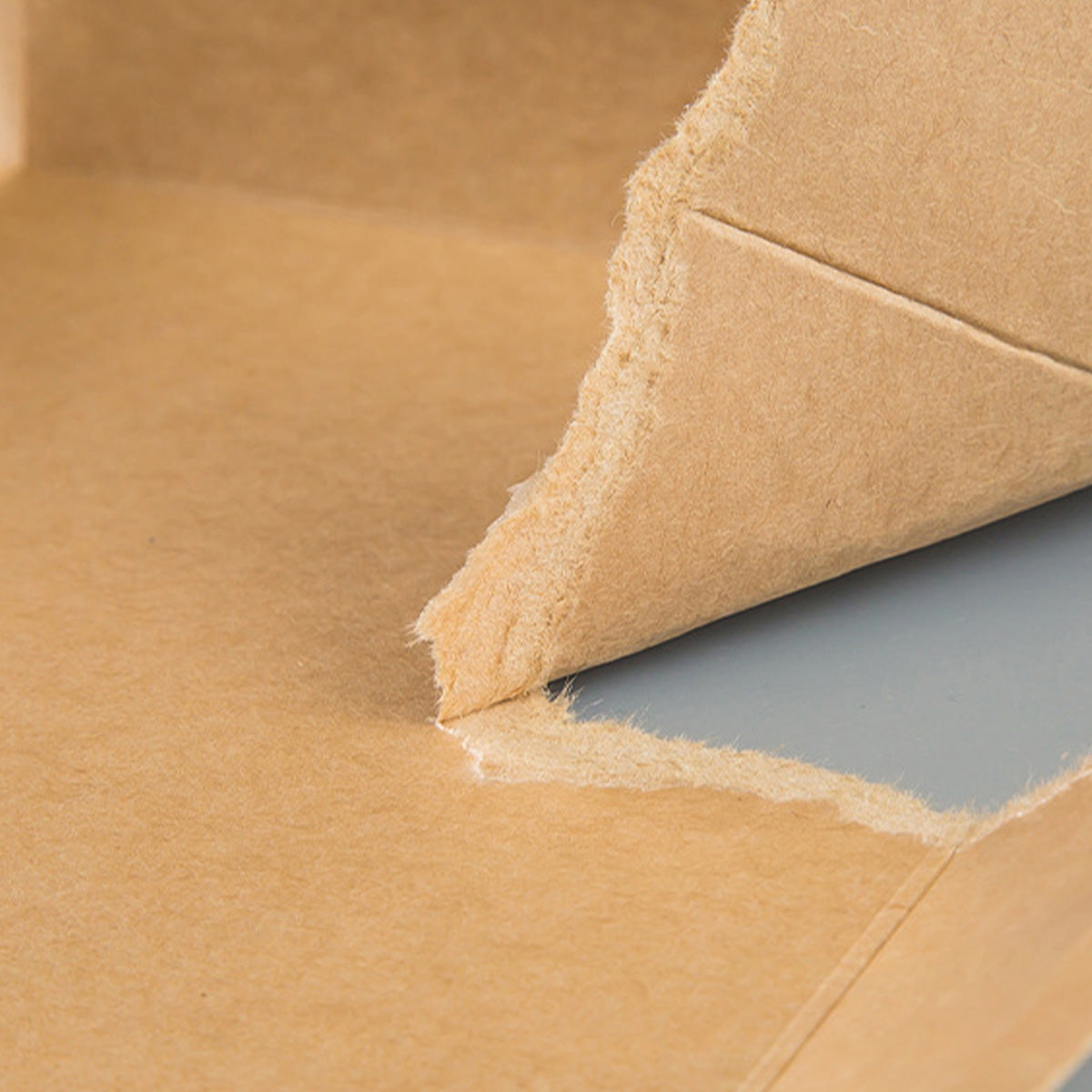 Disposable Kraft Paper BBQ Plates & Rectangular Trays - Various specifications