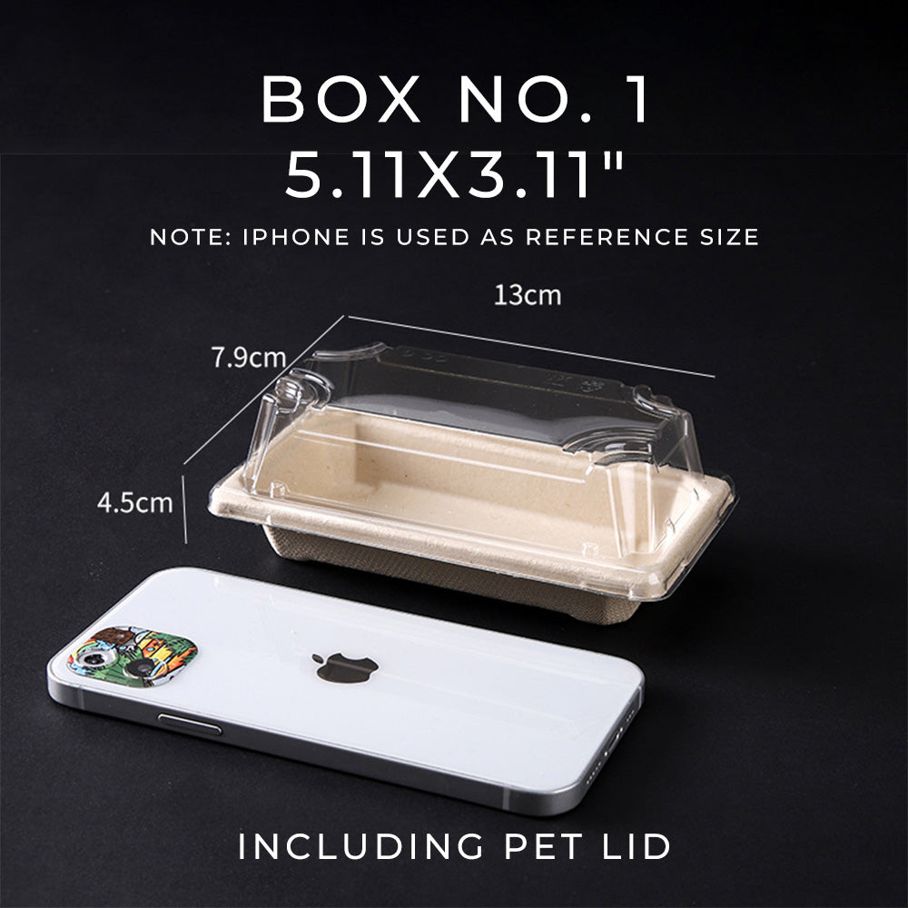 Biodegradable Disposable Sushi Takeout Boxes